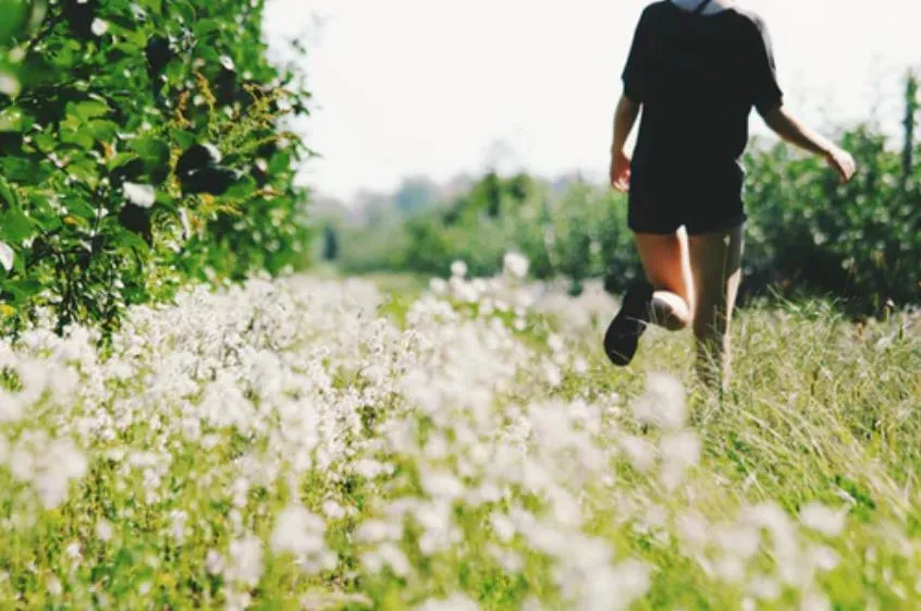 1617333604237139.png 8f9c2b8c89b0e1e4c849ac3c30d6a92.png