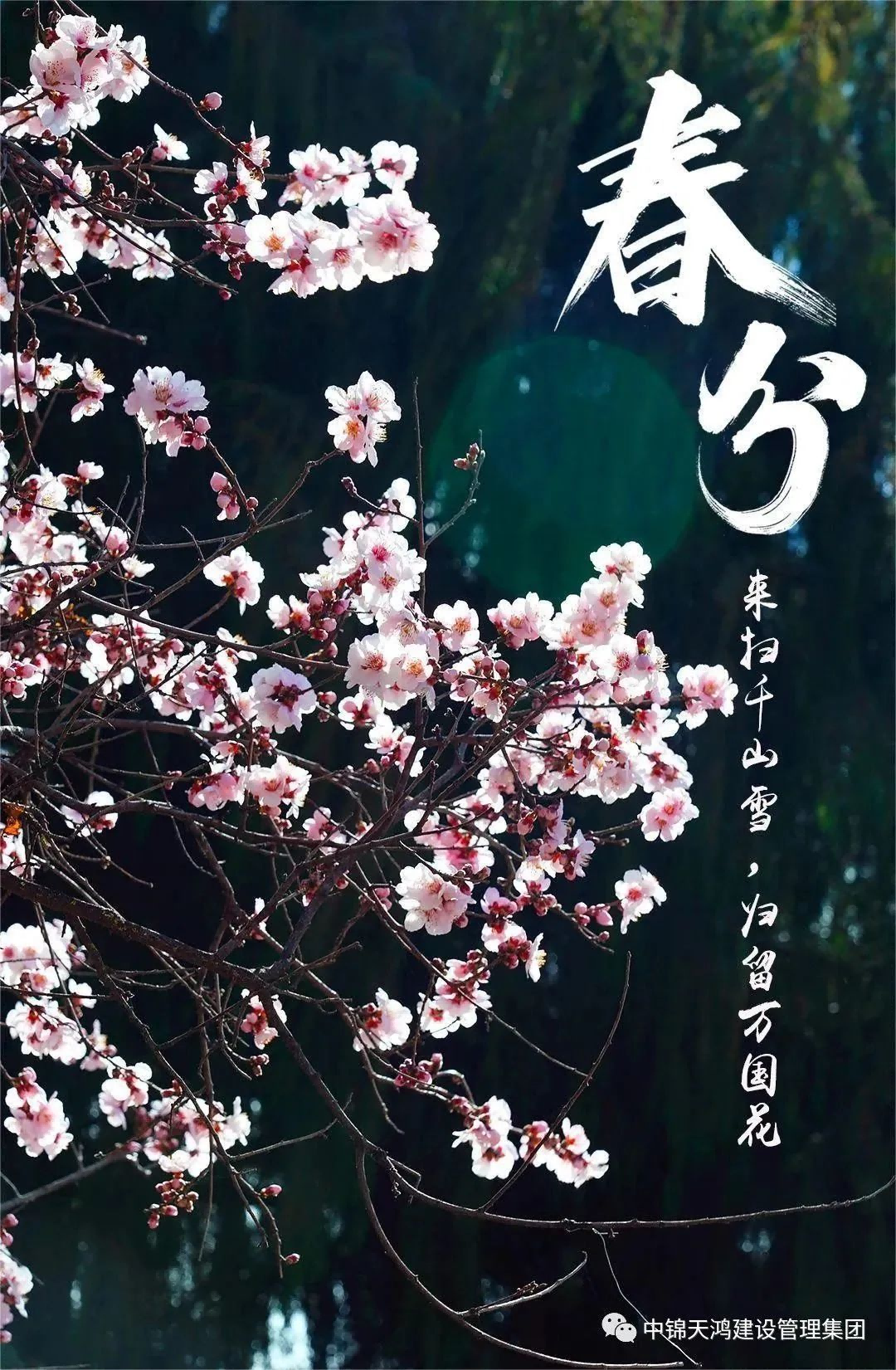 1679457091355386.png 圖片2(1).png