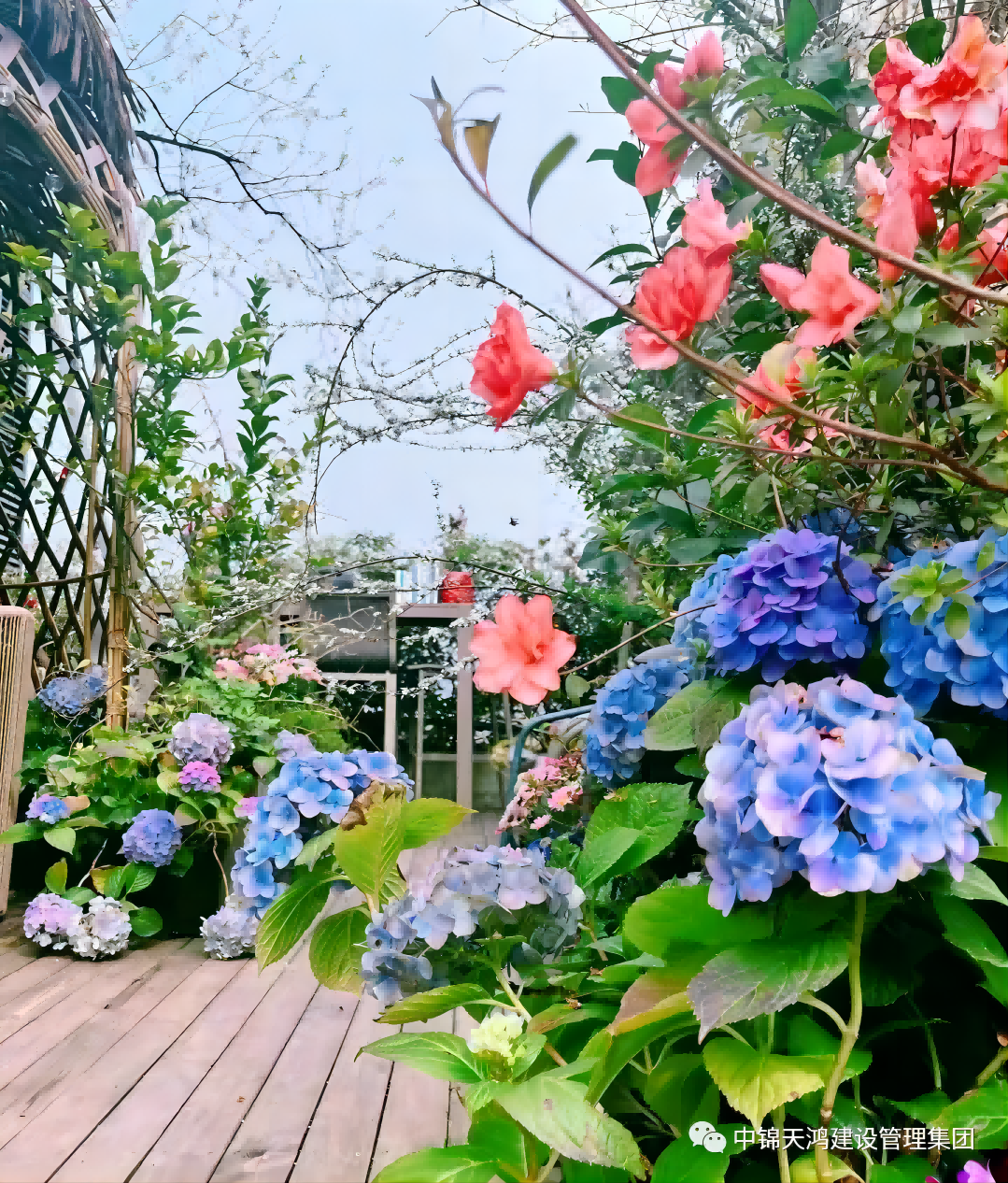 1679457193600429.png 圖片3(1)(1).png