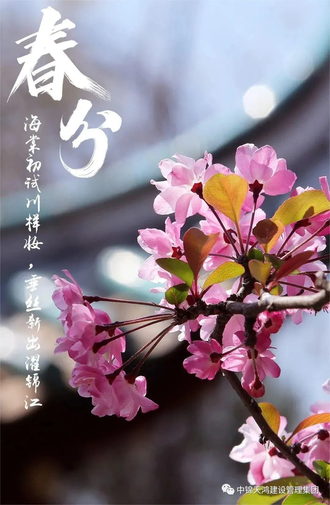 1679457261740017.png 圖片4.png