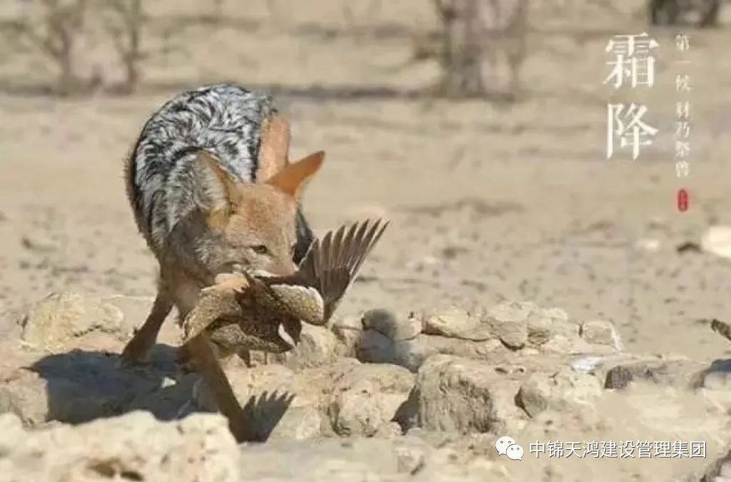 1698132718118208.png 圖片1(1).png