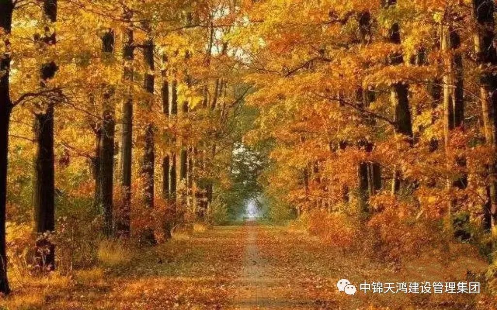 1698132730308872.png 圖片1(2).png