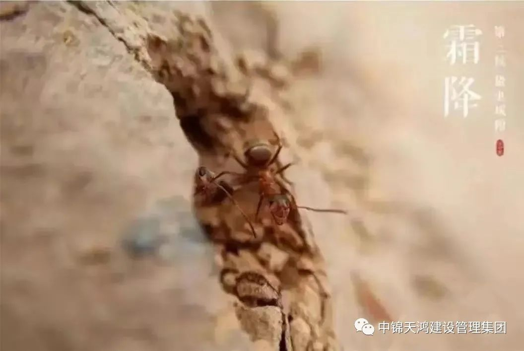 1698132742944365.png 圖片1(3).png