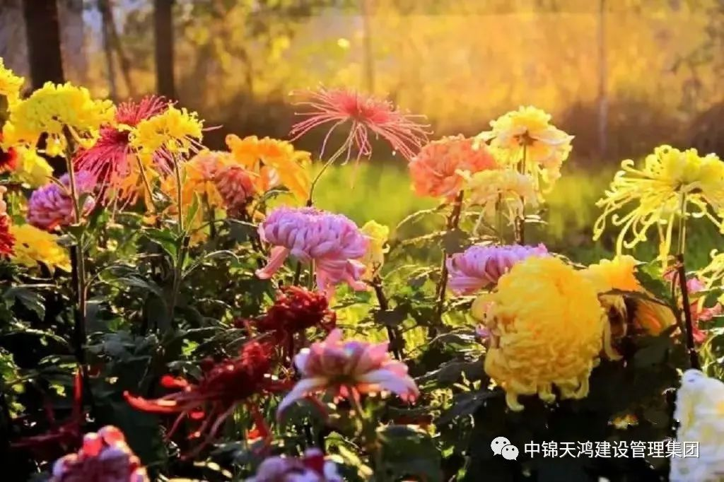 1698132768939253.png 圖片1(5).png