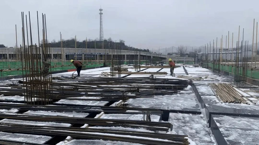 1703216366864665.png 圖片5.png