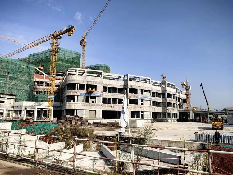 1740124317739912.jpg 33.jpg